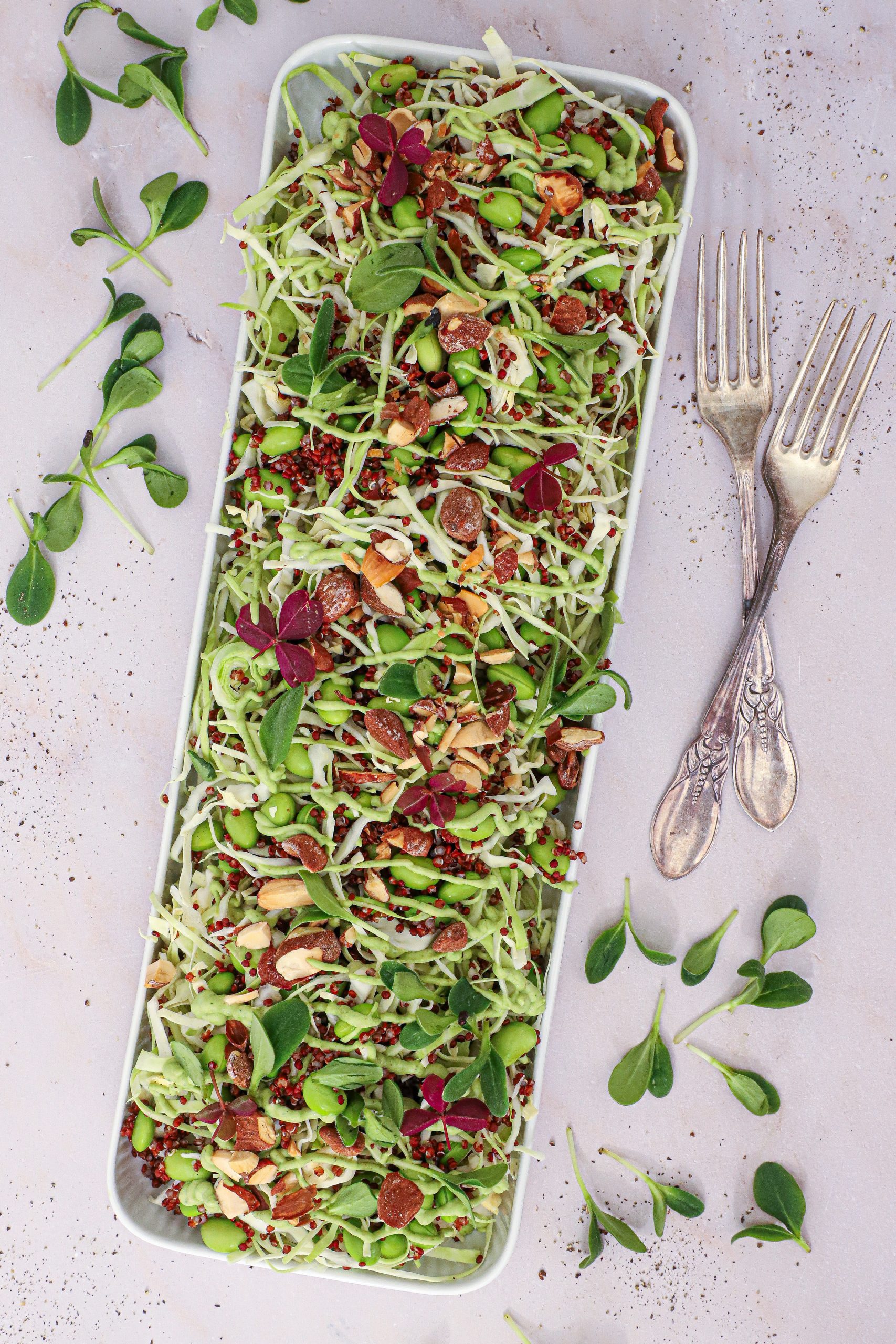 Spidskålssalat - Opskrift på kålsalat med quinoa og edamame