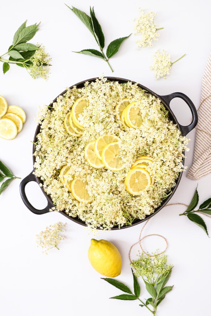 Hyldeblomstsaft - Opskrift på lækker hyldeblomstsaft med citron