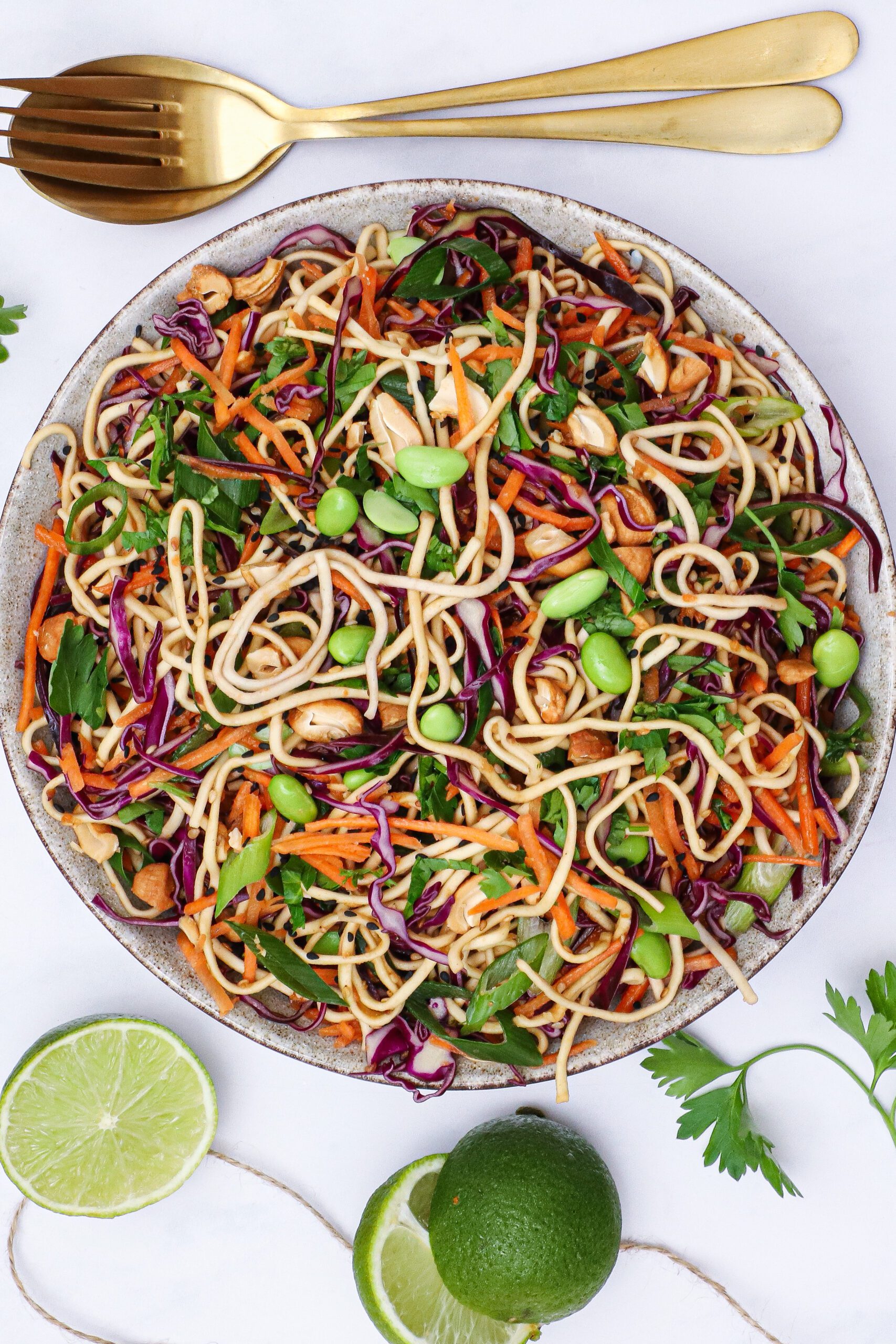 Kold asiatisk nudelsalat - Opskrift på nudelsalat med grøntsager