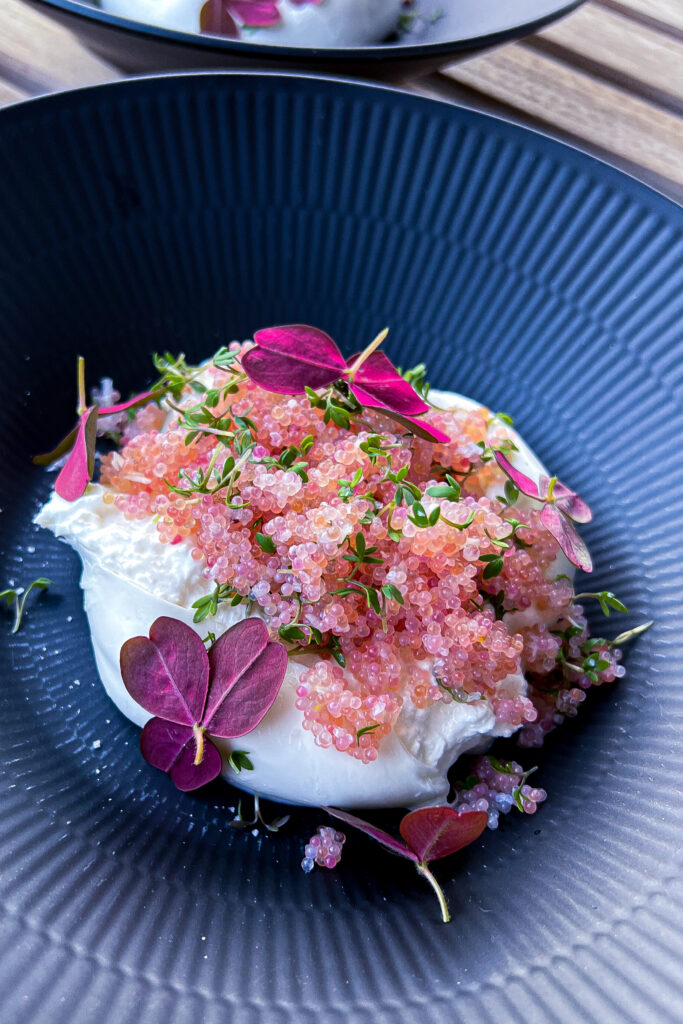 Stenbiderrogn med burrata - Opskrift på mad med stenbiderrogn