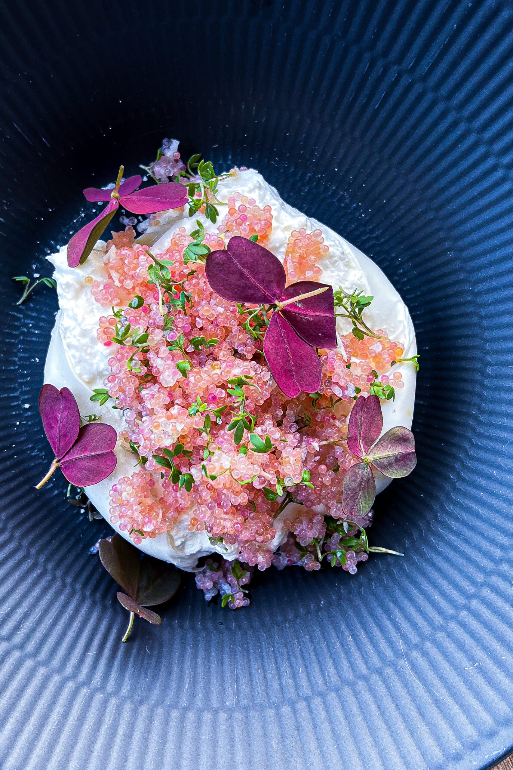 Stenbiderrogn med burrata - Opskrift på mad med stenbiderrogn
