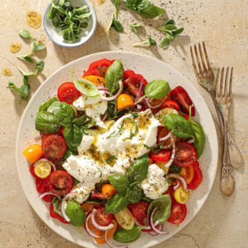 Tomatsalat med Burrata og vinaigrette - Frisk og Lækker Opskrift