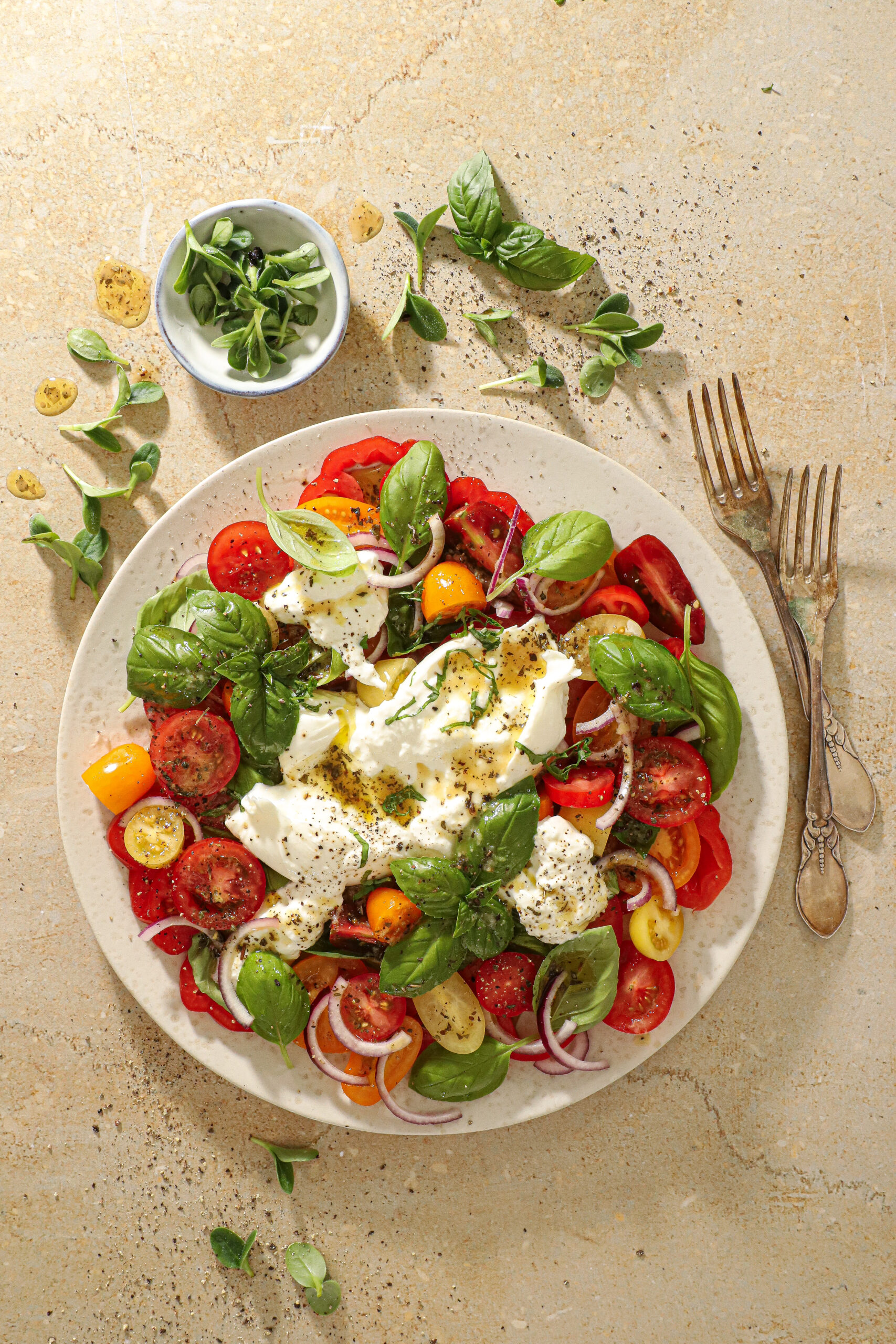 Tomatsalat med Burrata og vinaigrette - Frisk og Lækker Opskrift